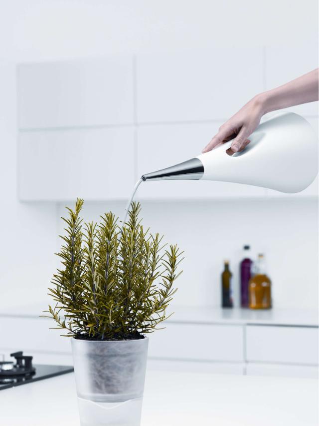 AquaStar - Watering can, white