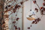 Bird feeder - Glas