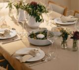 Legio Nova bowl - 3.3 l