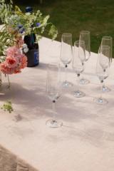 Legio Nova champagne glass - 26 cl - 6 pcs.