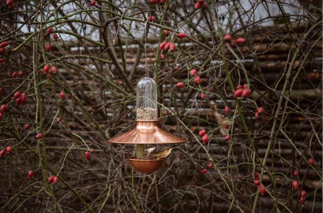 De luxe fugleforautomat - kobber