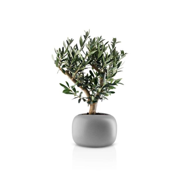 Stone urtepotte - Ø 19 cm - Keramik