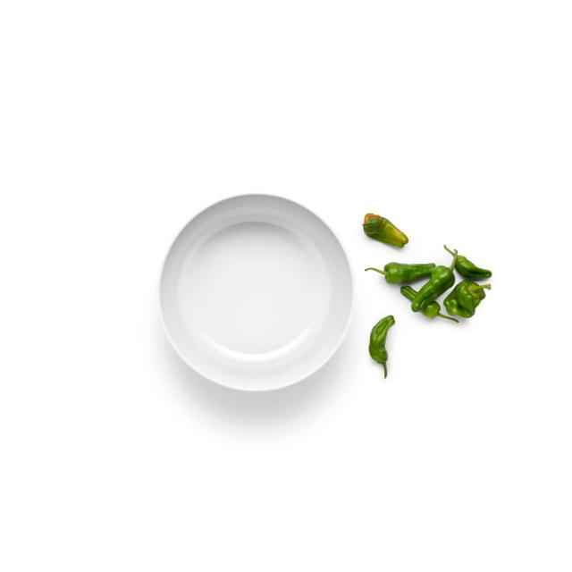 Legio Nova skål - 3,75 l