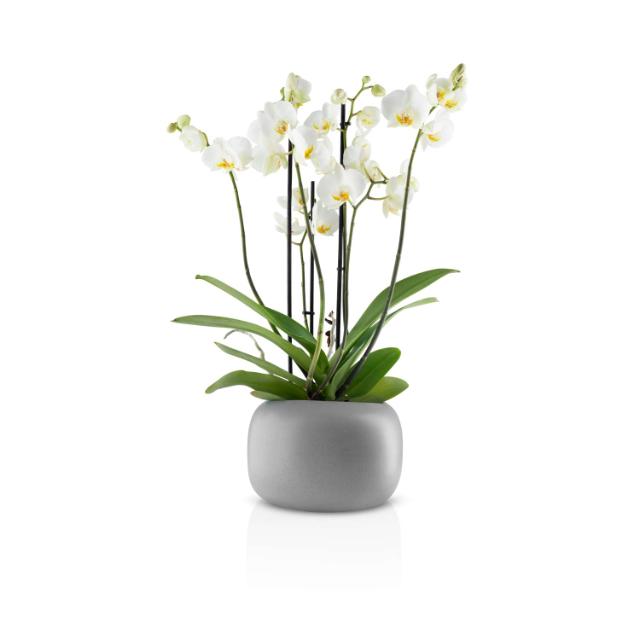 Stone urtepotte - Ø 19 cm - Keramik