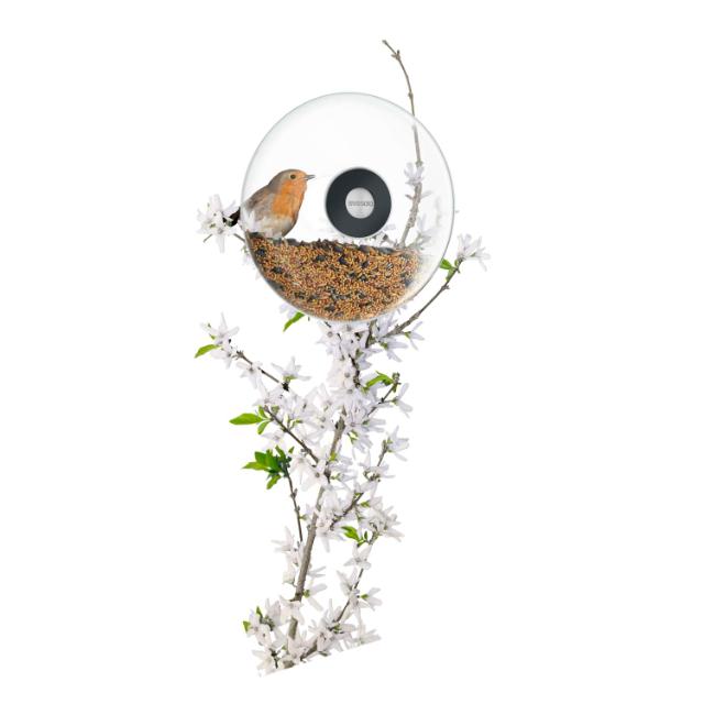 Window bird feeder - Large